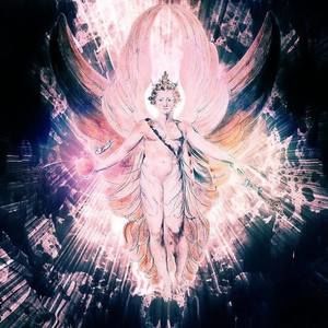 Meet your Posher, Niccolò